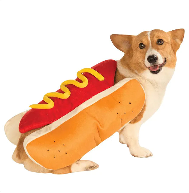 Disfraz Mascotas
